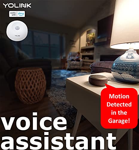 YoLink Motion Sensor, 1/4 Mile World's Longest Range Smart Home Indoor Wireless Motion Detector Sensor Compatible with Alexa IFTTT, Movement...